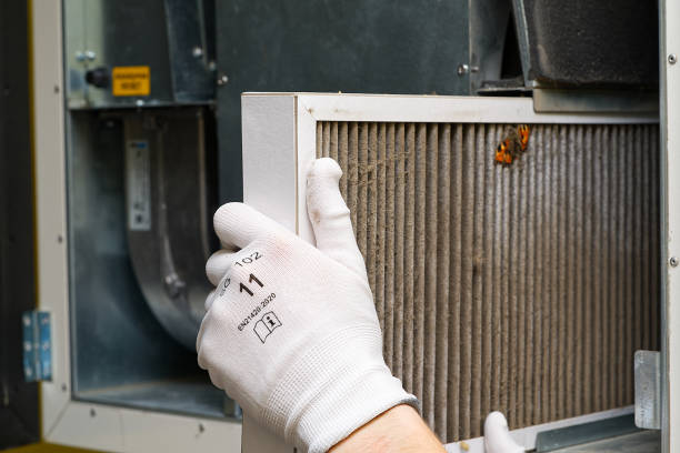 Best Ventilation Cleaning Services  in Manana, HI