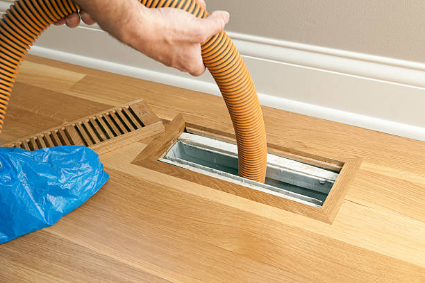 Best HVAC Maintenance and Cleaning  in Manana, HI